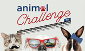 Animal Challenge